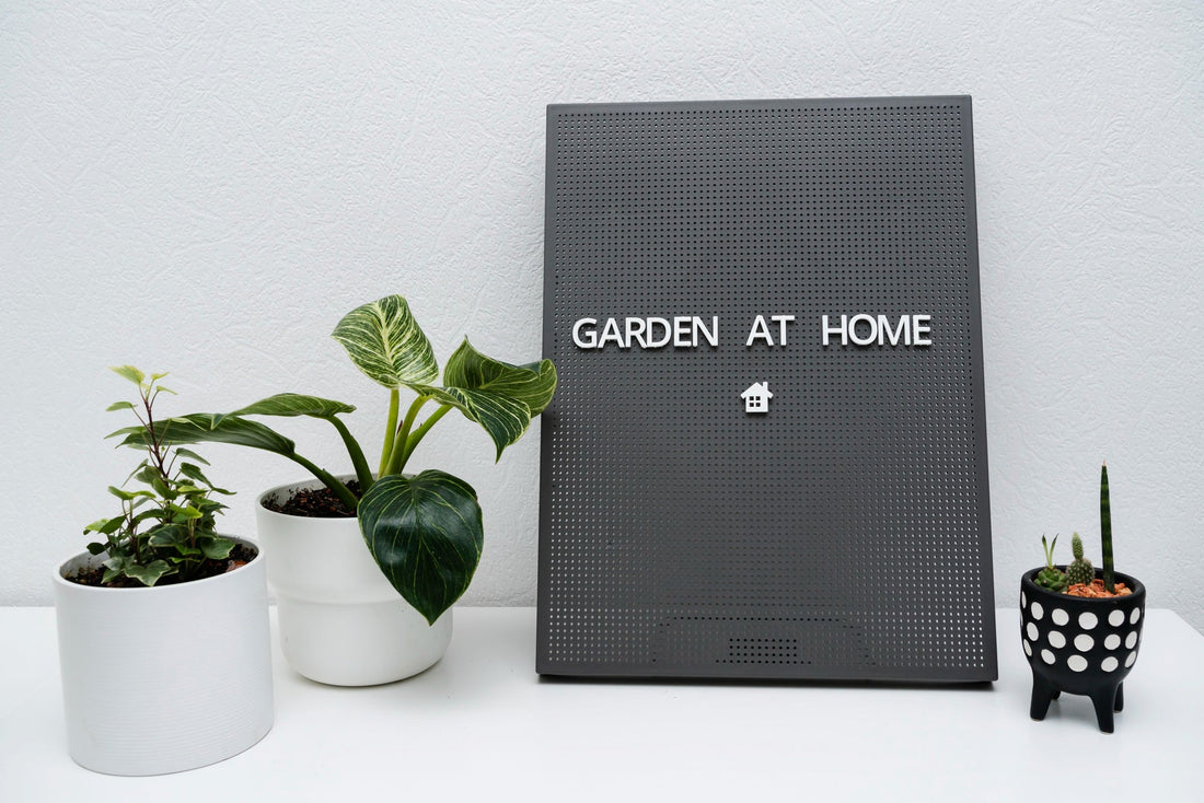 Transform Your Space with Metal Wall Signs