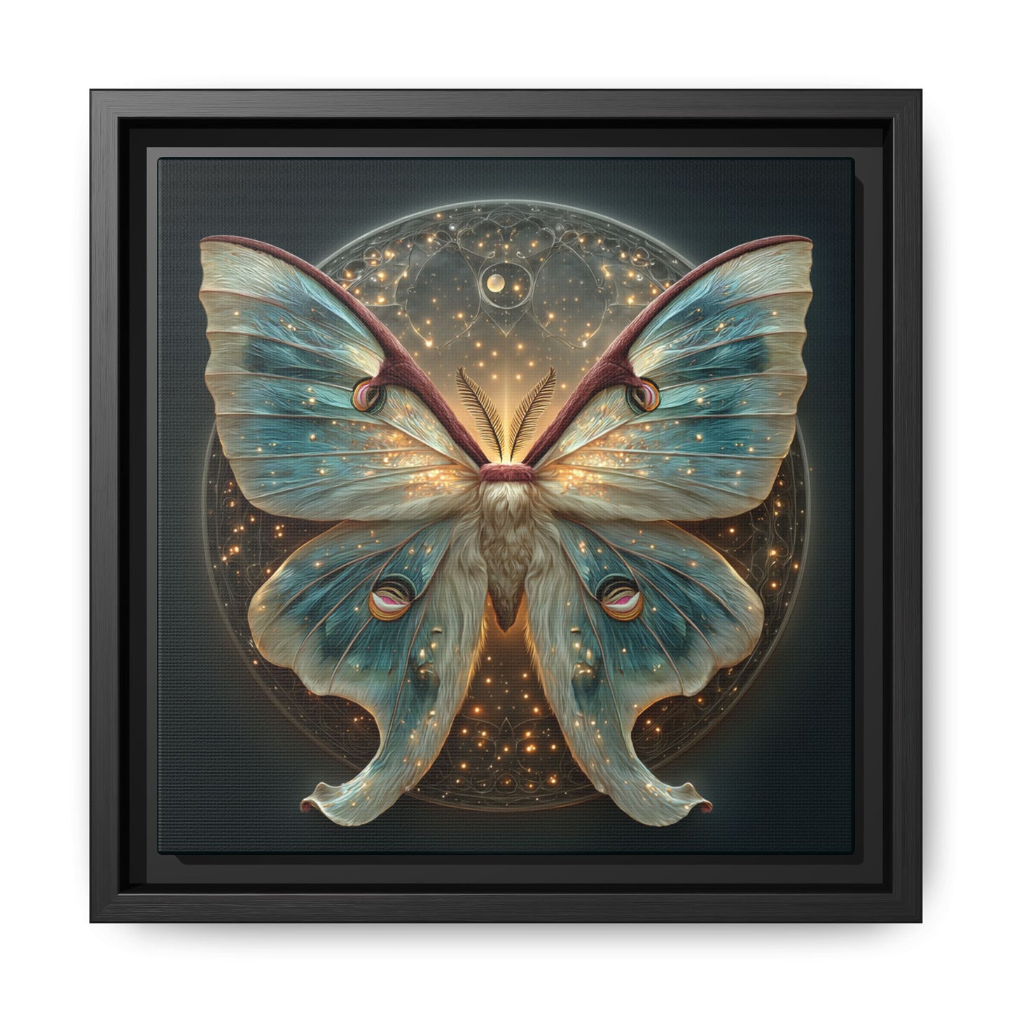 Luna Moth Square Framed Canvas Wall Art