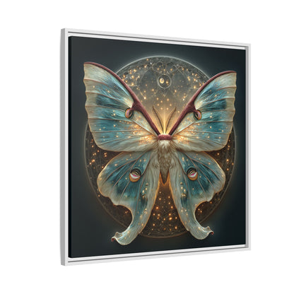 Luna Moth Square Framed Canvas Wall Art