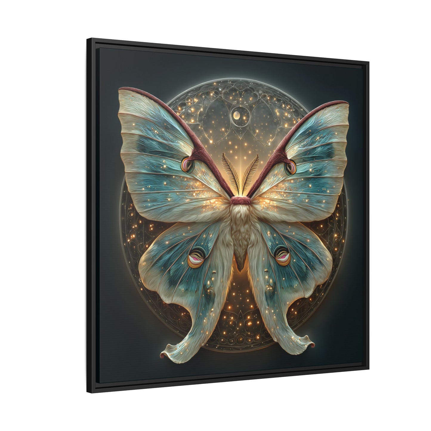 Luna Moth Square Framed Canvas Wall Art