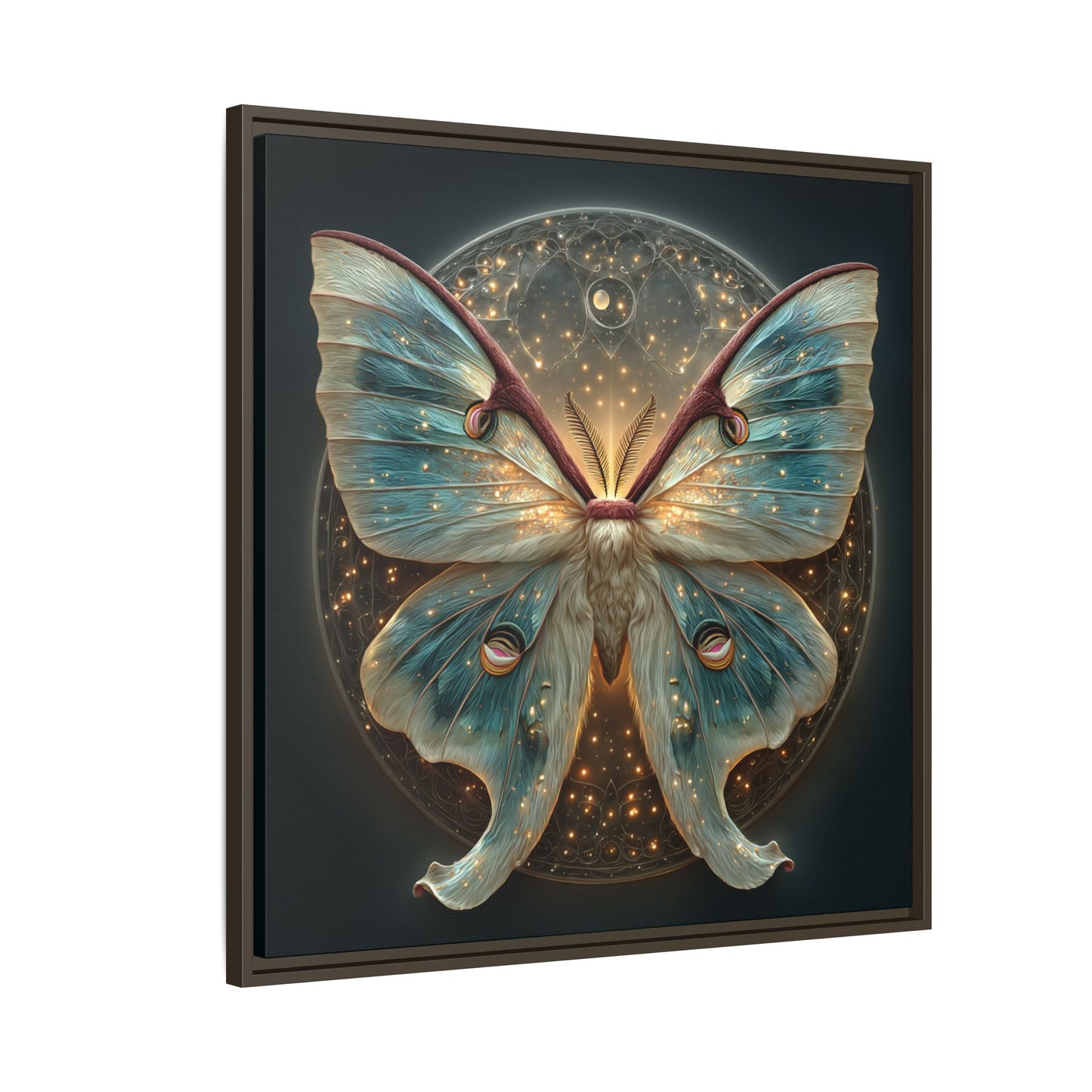 Luna Moth Square Framed Canvas Wall Art