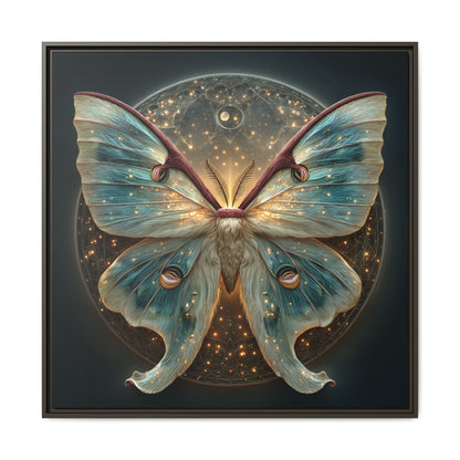 Luna Moth Square Framed Canvas Wall Art